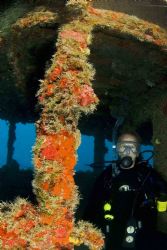 Dive buddy at 90 feet depth on Thunderbolt wreck, Maratho... by David Heidemann 